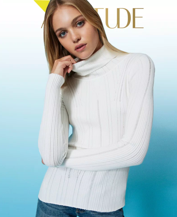 Actitude Knit Turtleneck