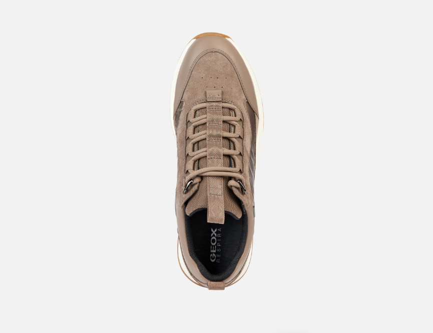 Geox Sneaker Falena Amphibiox