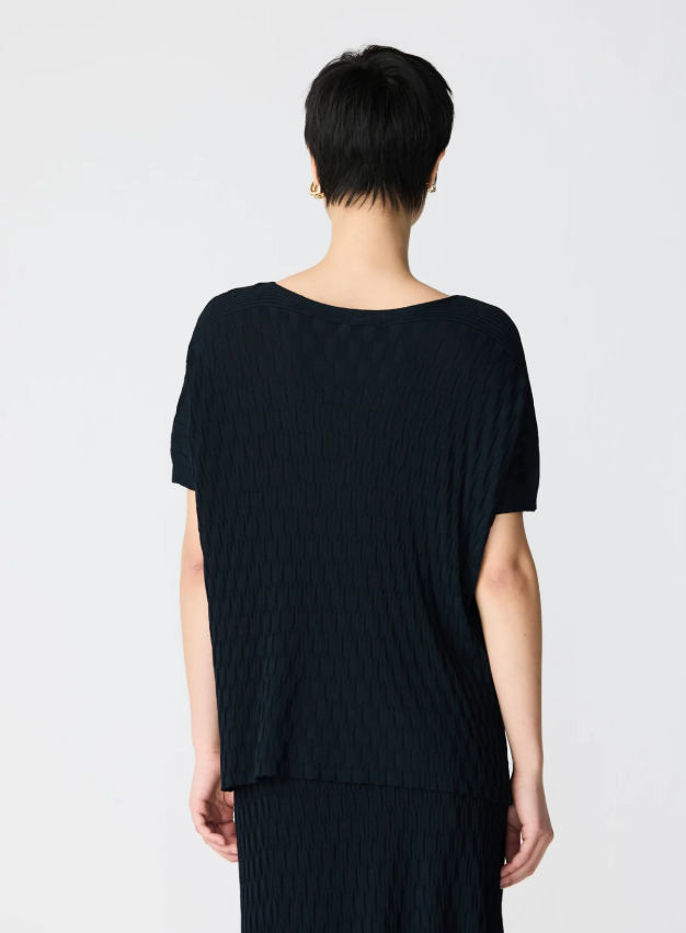 Scorpion Fantasy Mesh