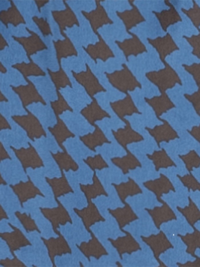 Anonyme Saia Pied Coq